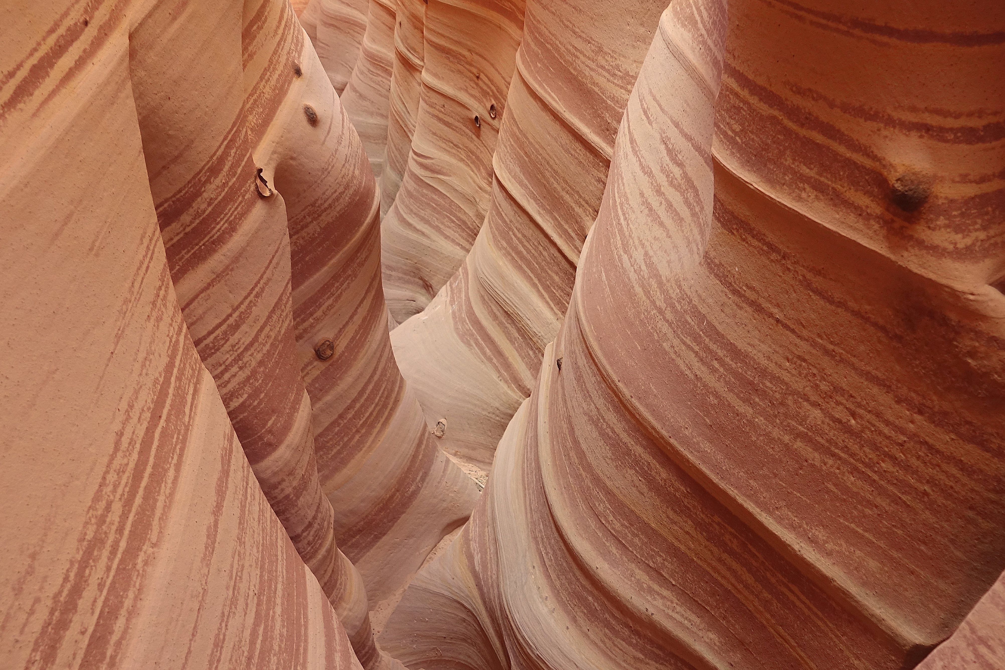 Parois de grès dans un slot canyon